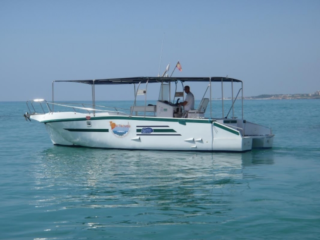 Salida en barco desde el centro de buceo